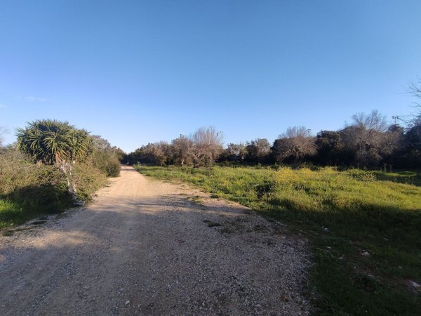 terreno agricolo in vendita a Lecce