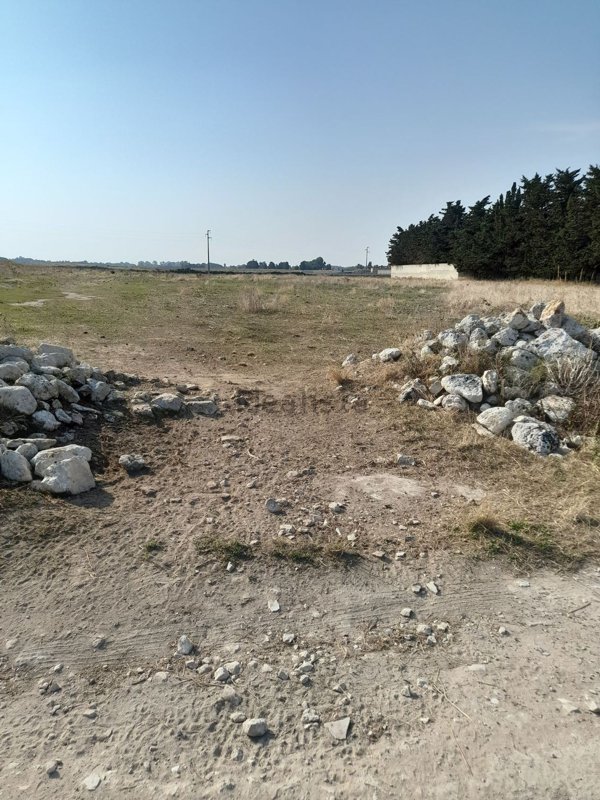terreno agricolo in vendita a Lecce in zona Torre Chianca