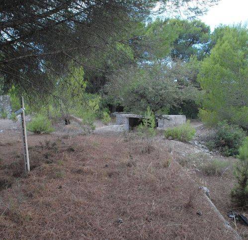 terreno agricolo in vendita a Lecce in zona Frigole