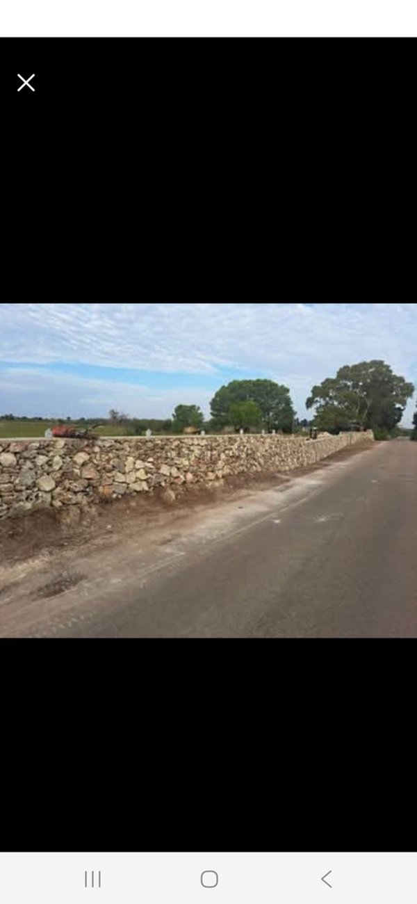 terreno agricolo in vendita a Lecce in zona San Cataldo