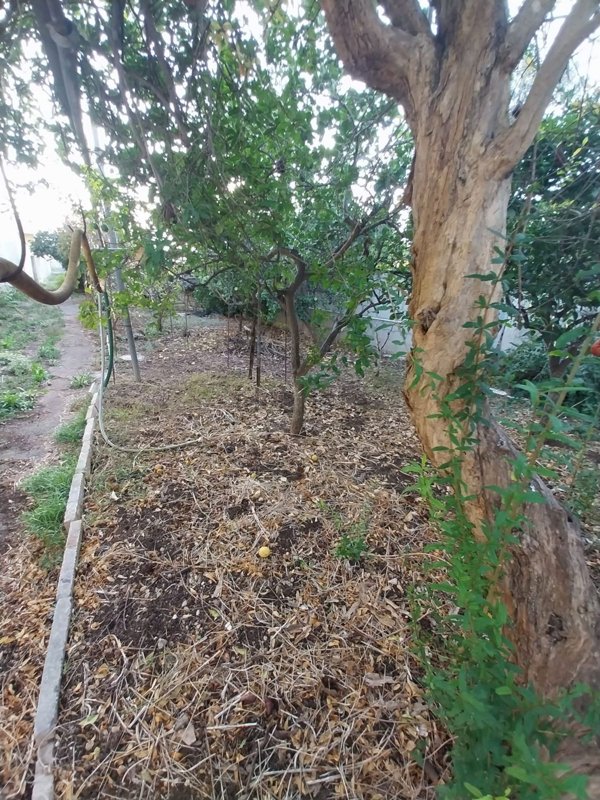 ufficio in vendita a Lecce