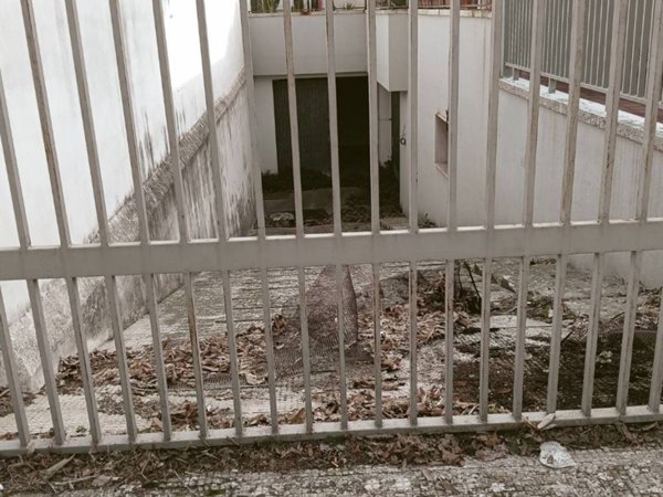 locale commerciale in vendita a Lecce in zona Partigiani