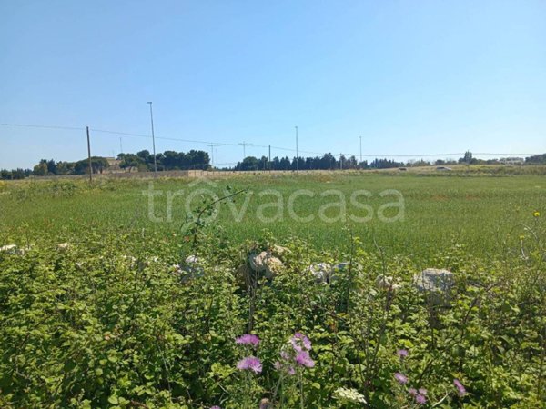terreno agricolo in vendita a Lecce in zona Partigiani