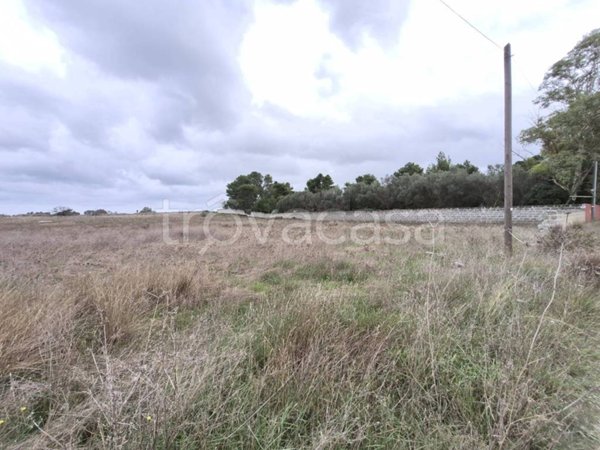 terreno agricolo in vendita a Lecce in zona Borgo Grappa