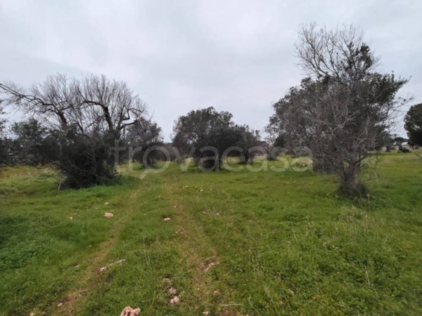 casa indipendente in vendita a Lecce in zona Borgo Piave