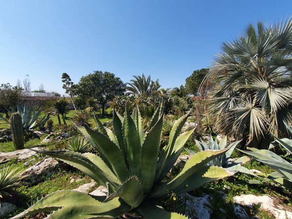casa indipendente in vendita a Lecce