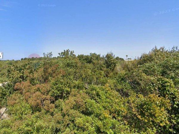 terreno agricolo in vendita a Lecce in zona Frigole
