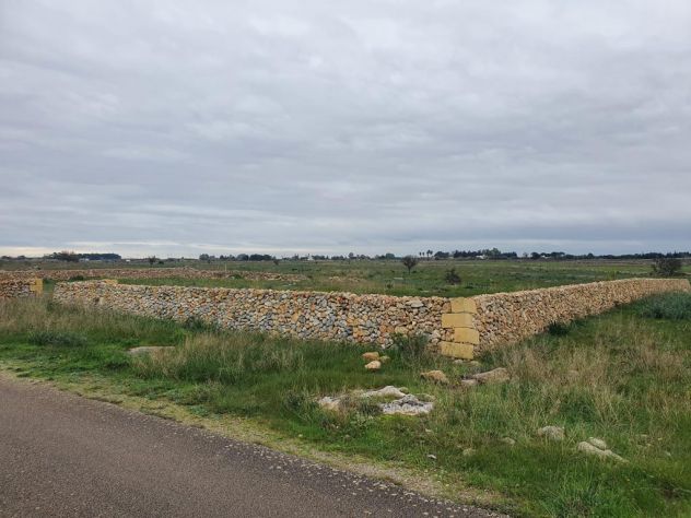 terreno agricolo in vendita a Lecce in zona Stadio