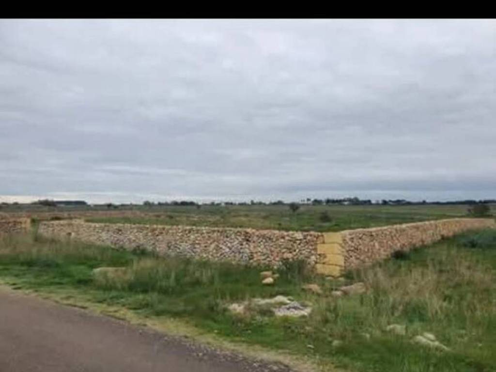 terreno agricolo in vendita a Lecce in zona San Cataldo
