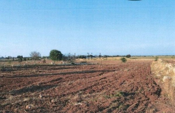 terreno agricolo in vendita a Lecce in zona Torre Chianca