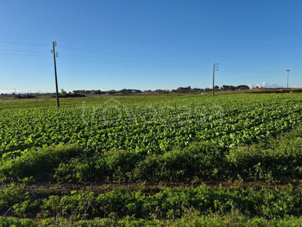 terreno agricolo in vendita a Lecce in zona Santa Rosa