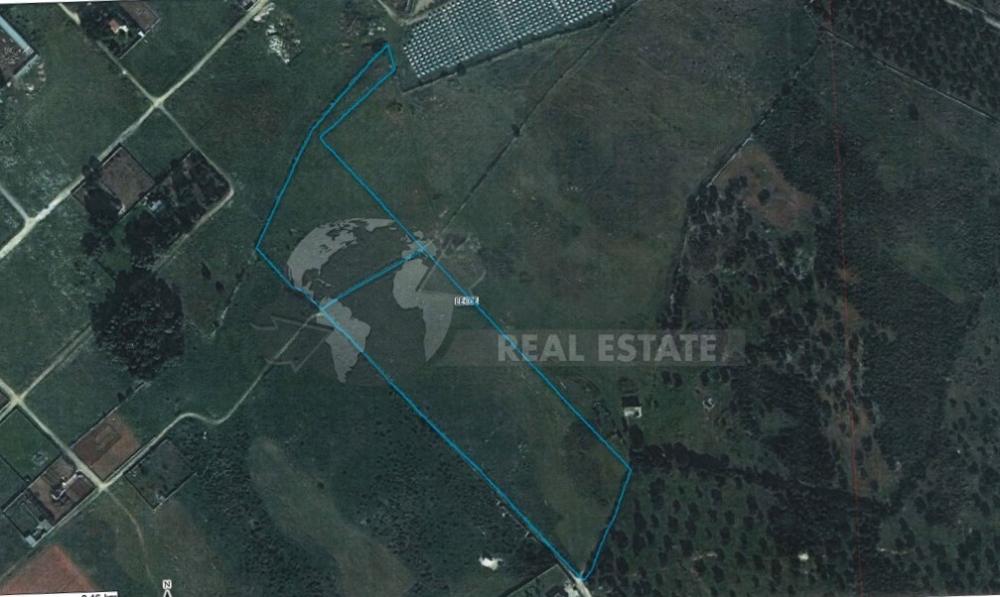 terreno agricolo in vendita a Lecce in zona Torre Chianca