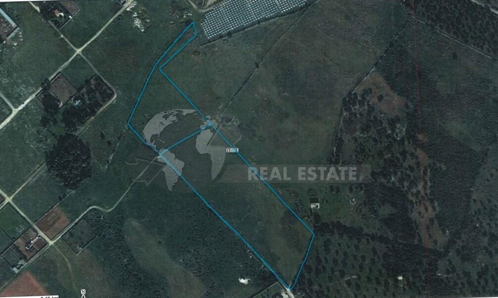 terreno agricolo in vendita a Lecce in zona Torre Chianca