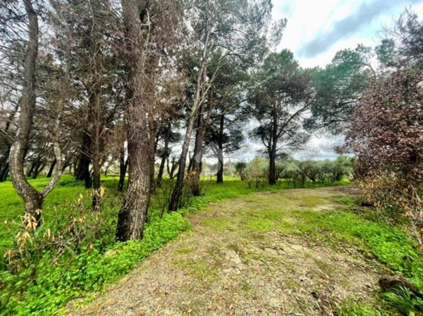 terreno agricolo in vendita a Lecce in zona San Ligorio