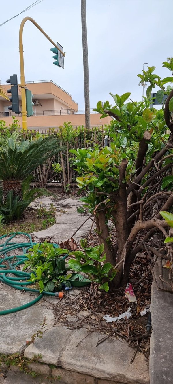 casa indipendente in vendita a Lecce