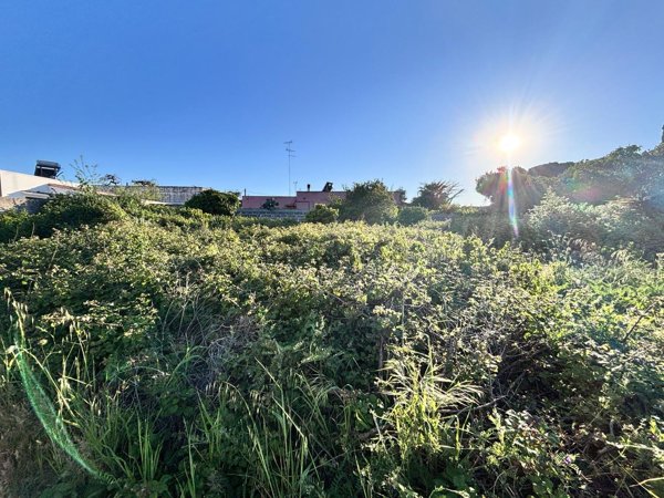 terreno agricolo in vendita a Lecce in zona Frigole