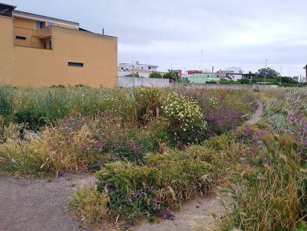 terreno edificabile in vendita a Lecce in zona Centro Città