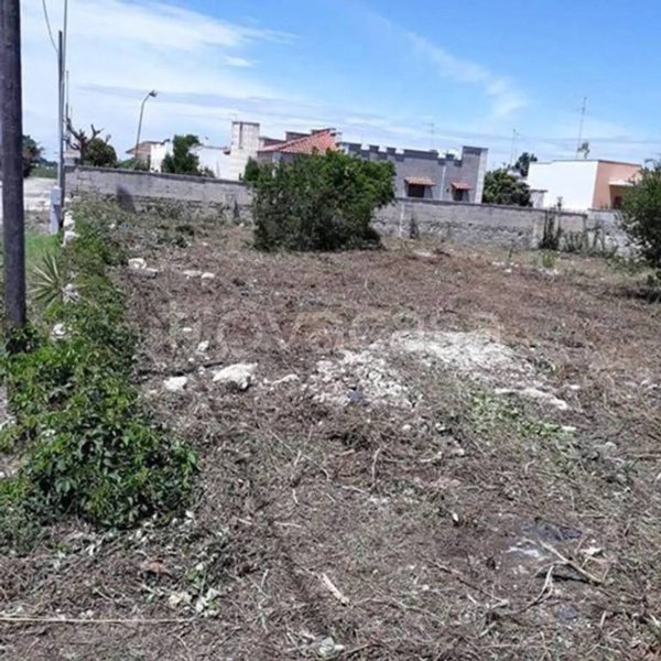 terreno agricolo in vendita a Lecce in zona Torricella