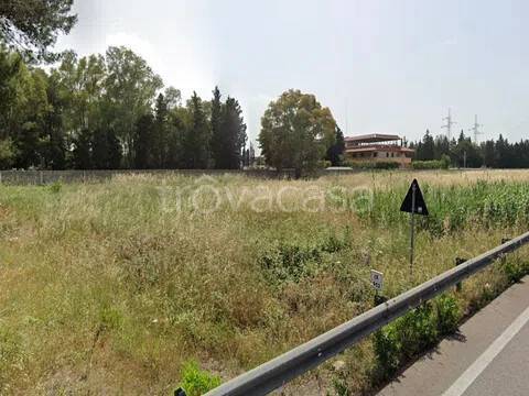 terreno agricolo in vendita a Lecce in zona Borgo Pace