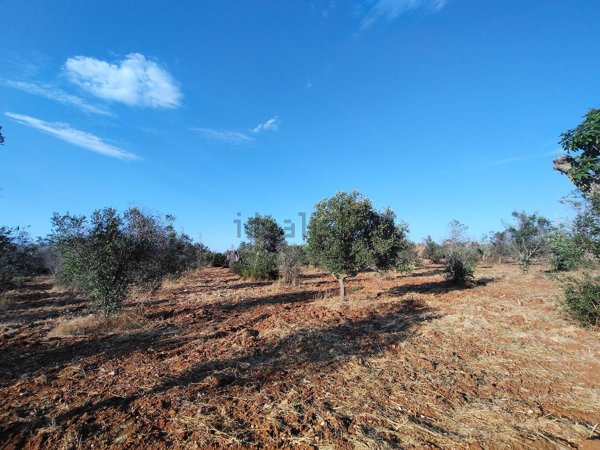 terreno agricolo in vendita a Lecce in zona Borgo Piave