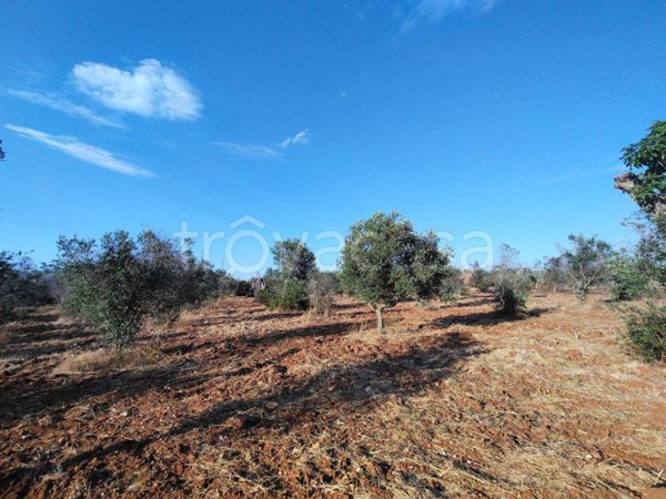 terreno agricolo in vendita a Lecce in zona Borgo Piave