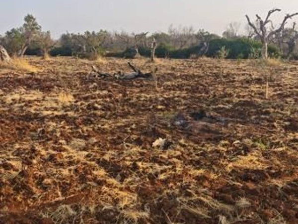 negozio in vendita a Lecce in zona Rudiae