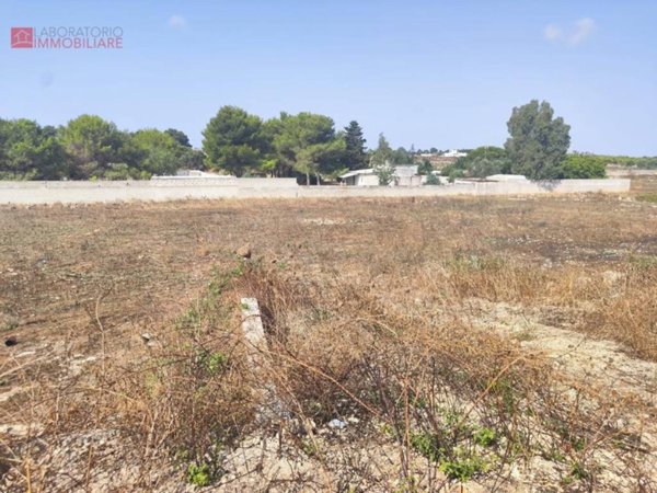 terreno agricolo in vendita a Lecce in zona Torre Chianca