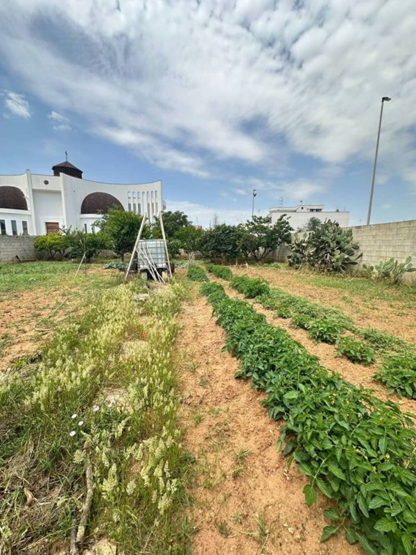 casa indipendente in vendita a Lequile