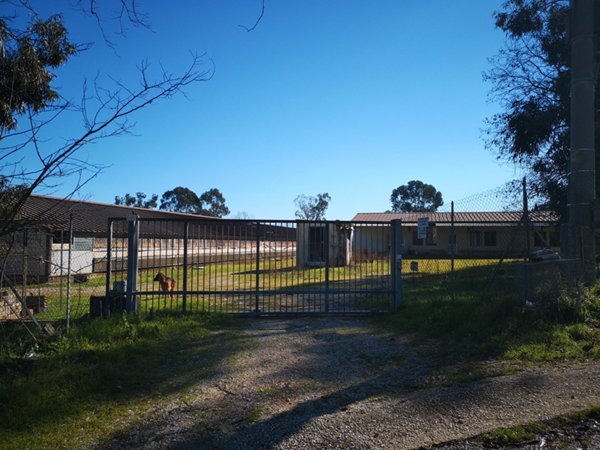 intera palazzina in vendita a Lequile in zona Dragoni