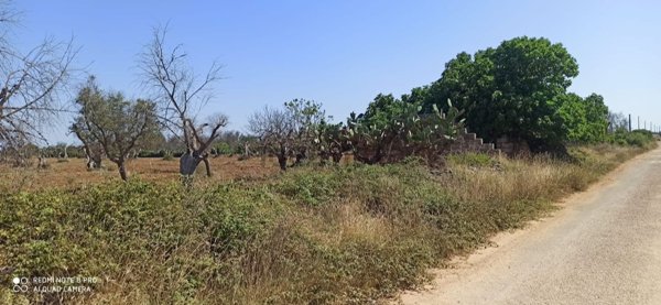 terreno agricolo in vendita a Lequile
