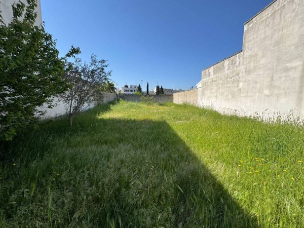 terreno agricolo in vendita a Lequile
