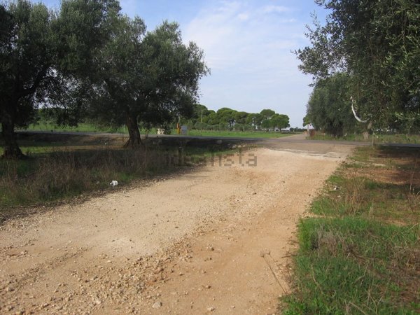 terreno edificabile in vendita a Leverano