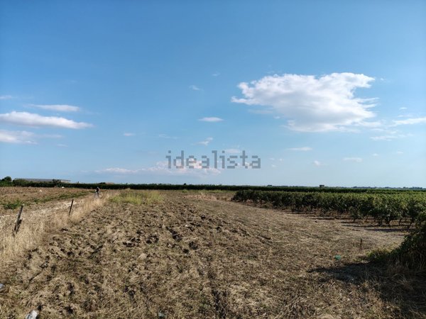 terreno agricolo in vendita a Leverano
