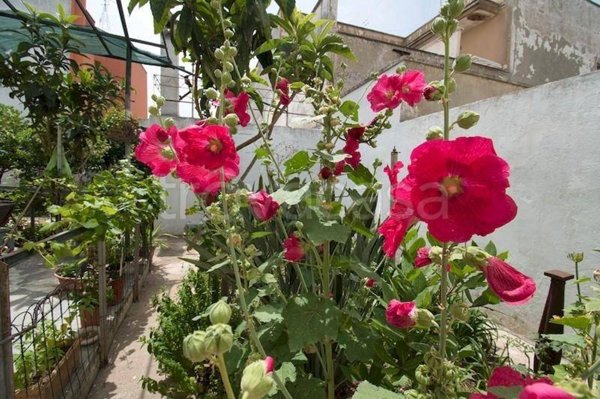 casa indipendente in vendita a Lizzanello in zona Merine