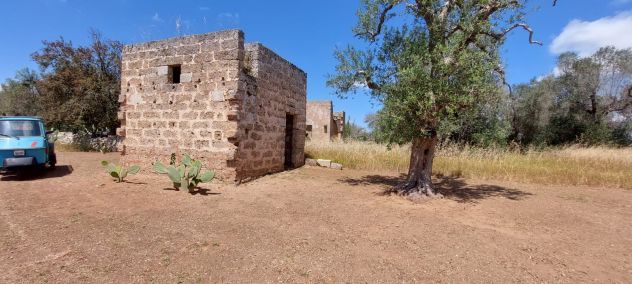 terreno agricolo in vendita a Lizzanello