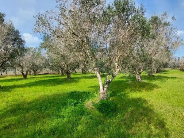 casa indipendente in vendita a Lizzanello