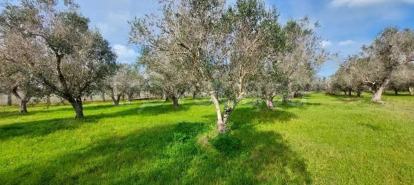 casa indipendente in vendita a Lizzanello