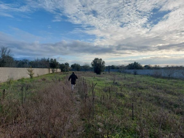terreno agricolo in vendita a Lizzanello