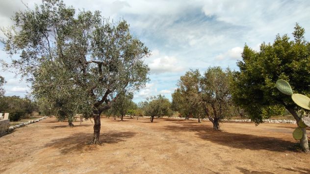 casa indipendente in vendita a Lizzanello in zona Merine