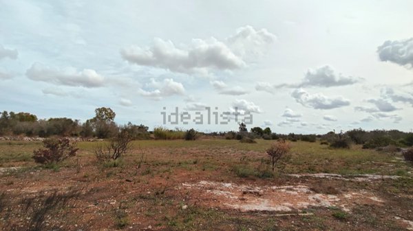 casa indipendente in vendita a Lizzanello