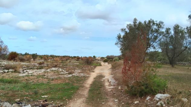 casa indipendente in vendita a Lizzanello in zona Merine
