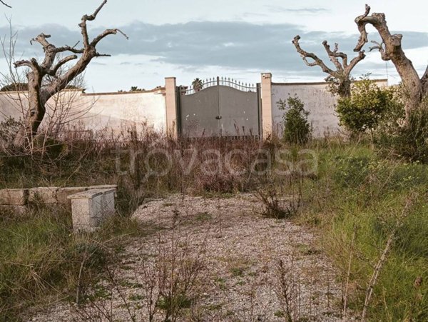 terreno agricolo in vendita a Lizzanello in zona Merine