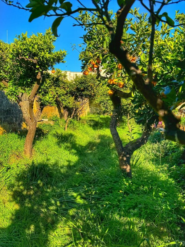 appartamento in vendita a Lizzanello