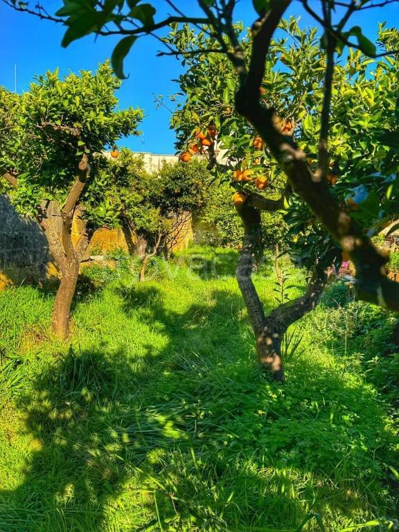 appartamento in vendita a Lizzanello