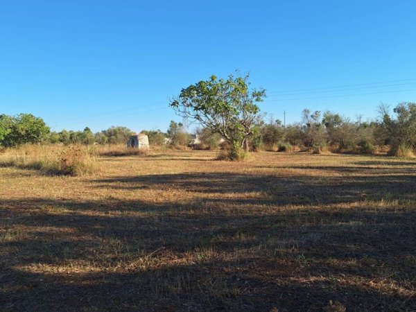 casa indipendente in vendita a Lizzanello