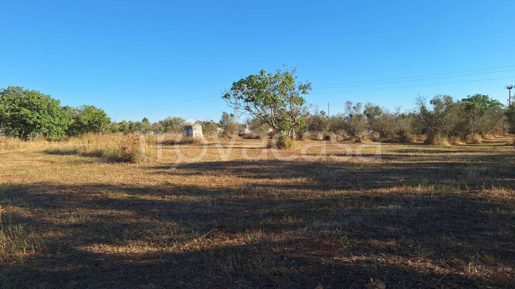 casa indipendente in vendita a Lizzanello