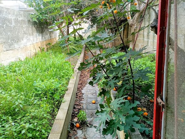 appartamento in vendita a Lizzanello in zona Merine