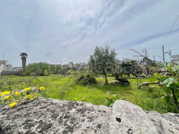 terreno agricolo in vendita a Lizzanello in zona Merine