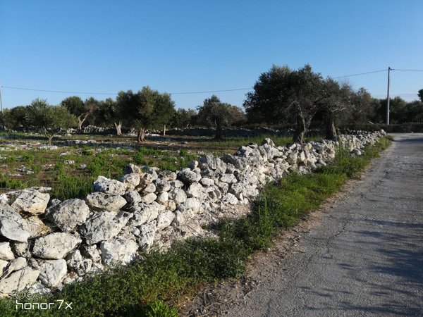 terreno agricolo in vendita a Lizzanello in zona Merine