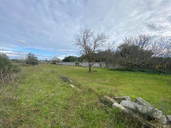 terreno agricolo in vendita a Maglie